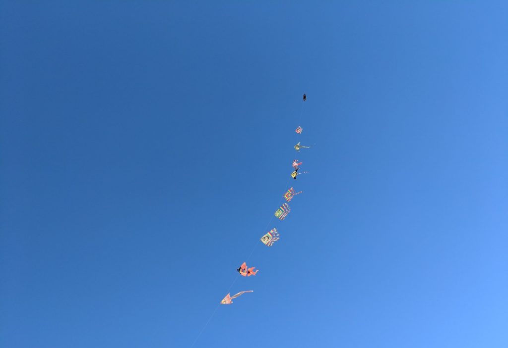 KONTAKT HEIDI RAUCH DE visual data 5